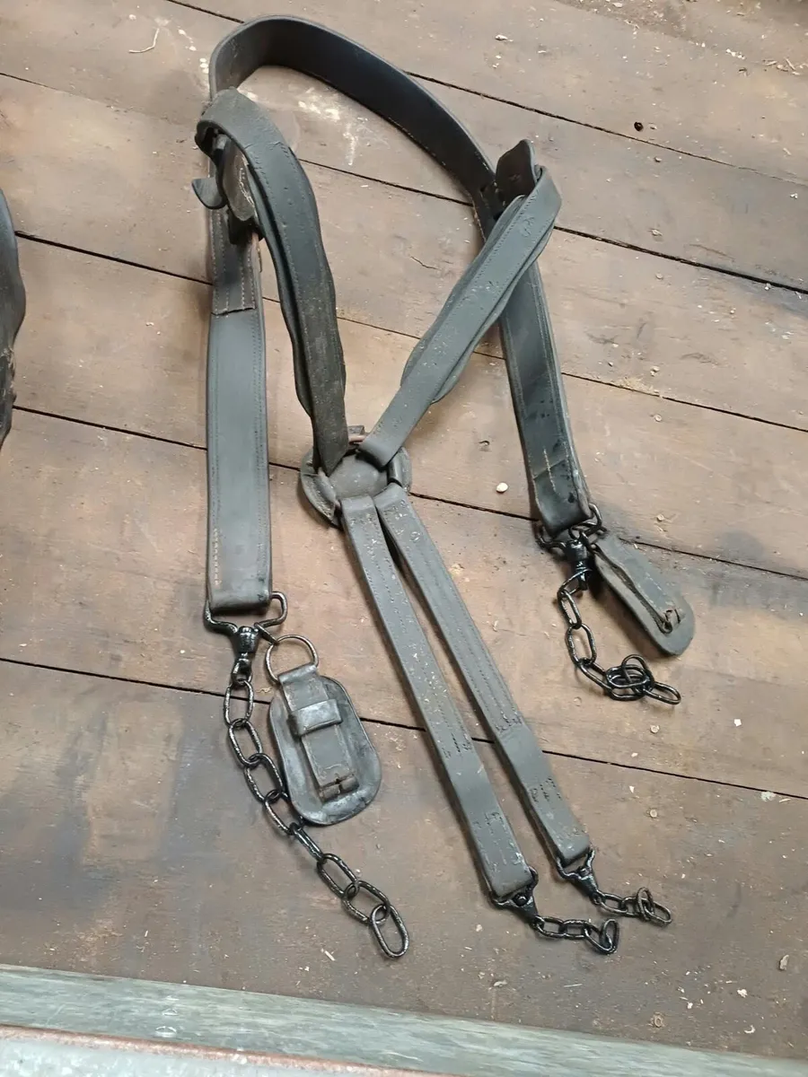 Working Harness Chain Set - Image 1