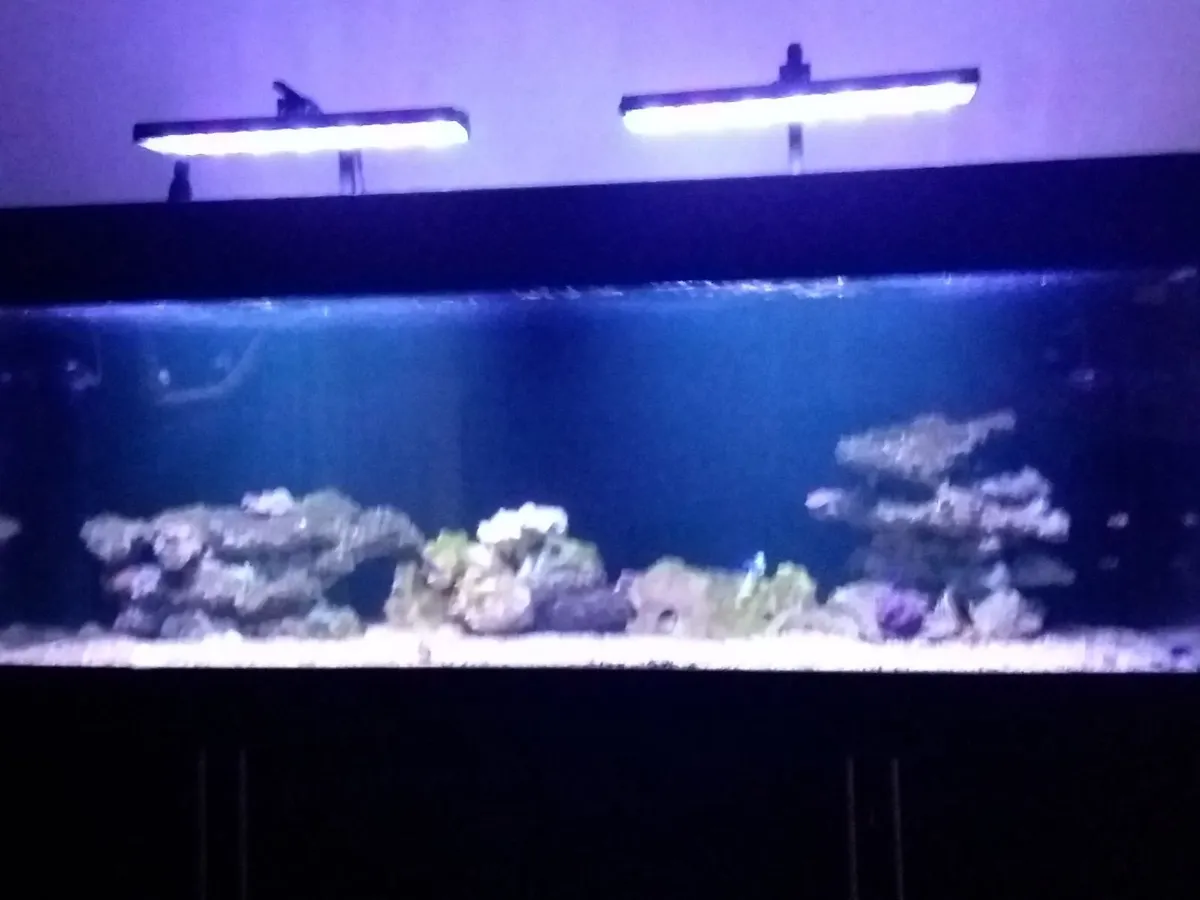 800l aquarium - Image 3