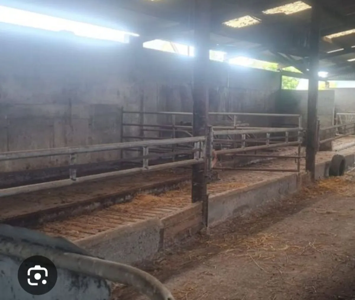 Cattle accomadation