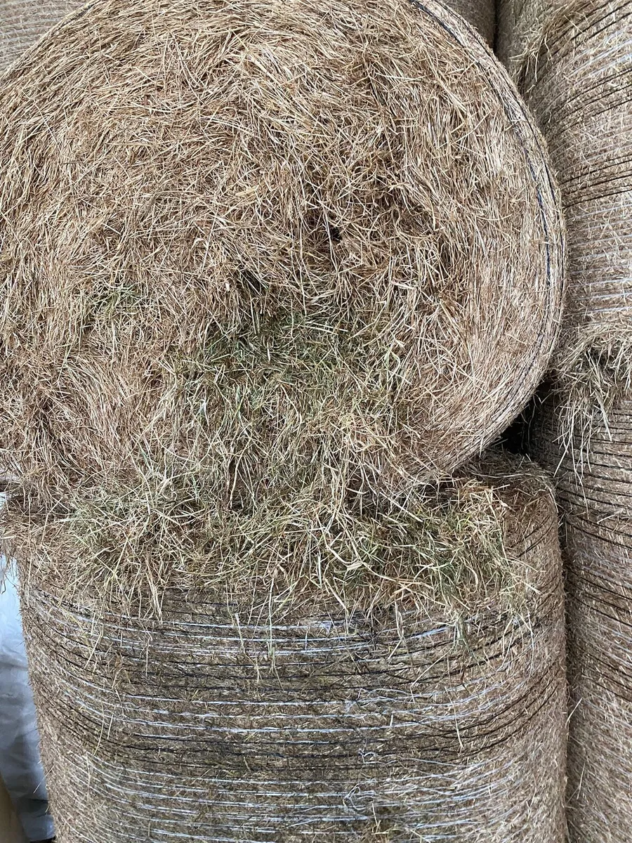 Round and coffin bales of hay - Image 2