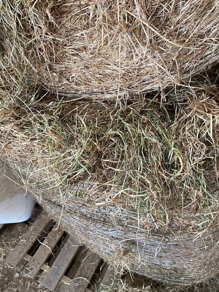 Round and coffin bales of hay - Image 1