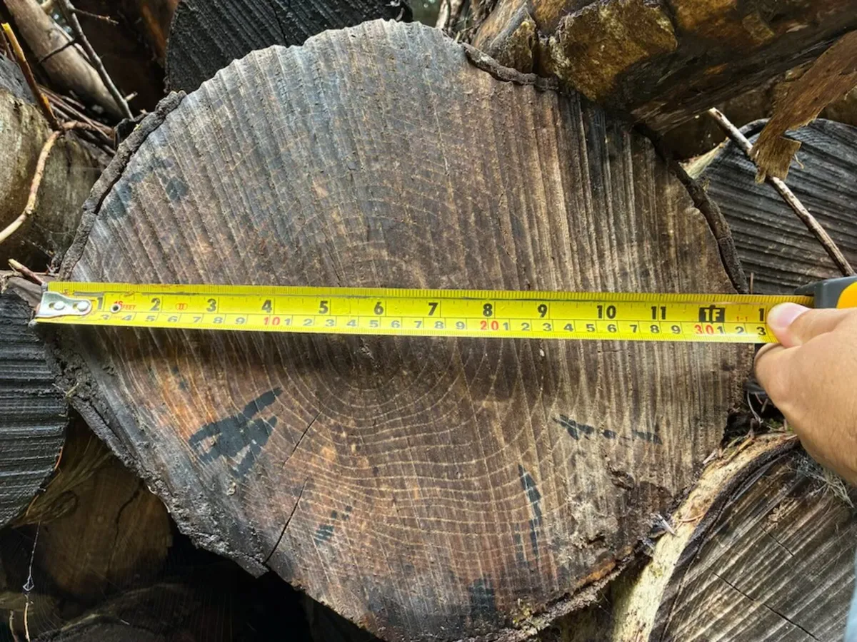 Ash Firelogs - Image 1