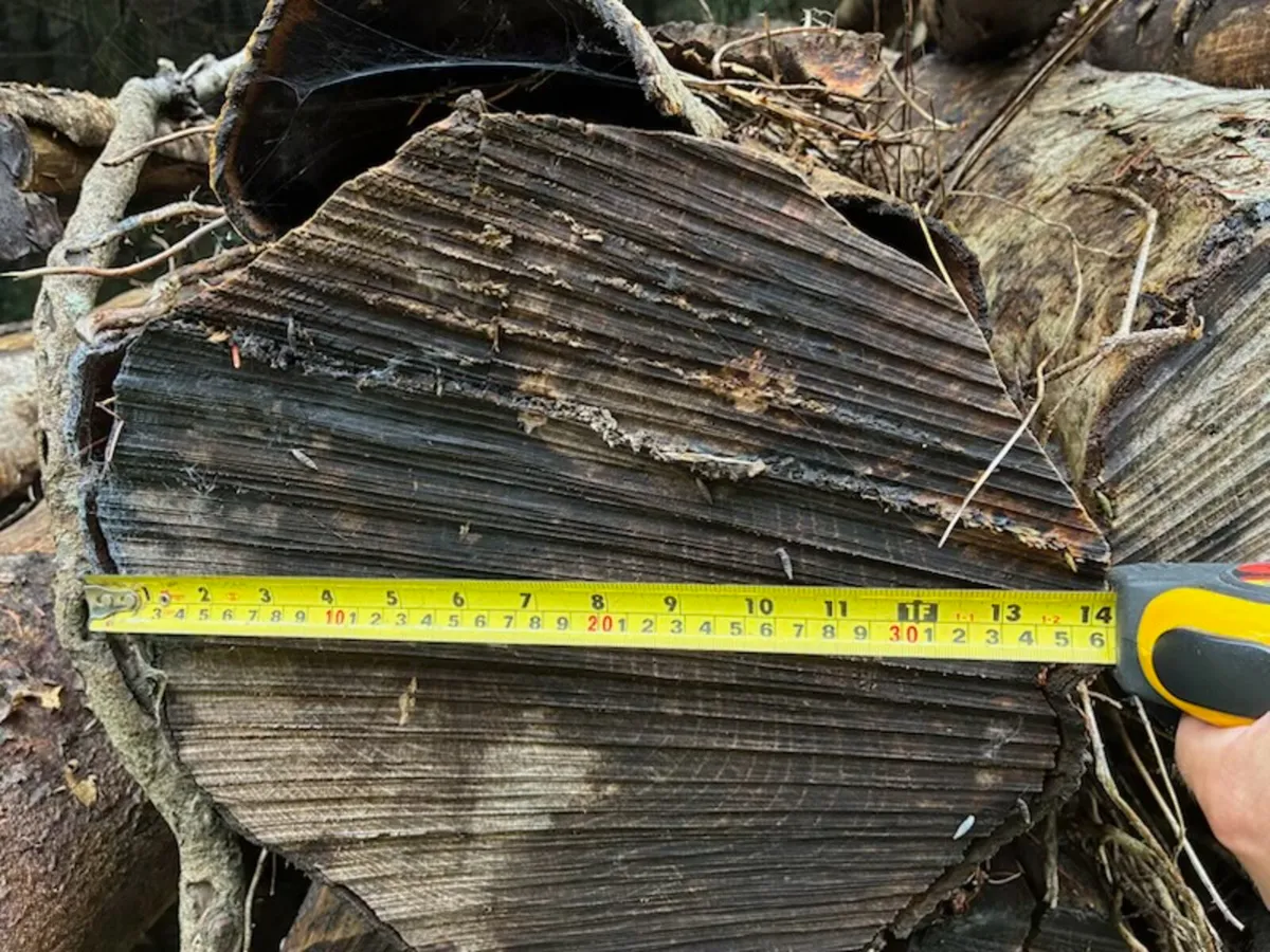 Ash Firelogs - Image 2