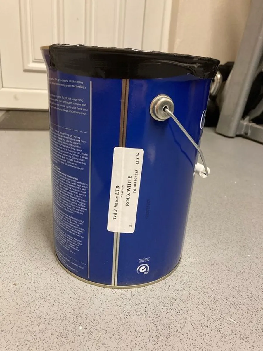 Exterior paint - Image 2