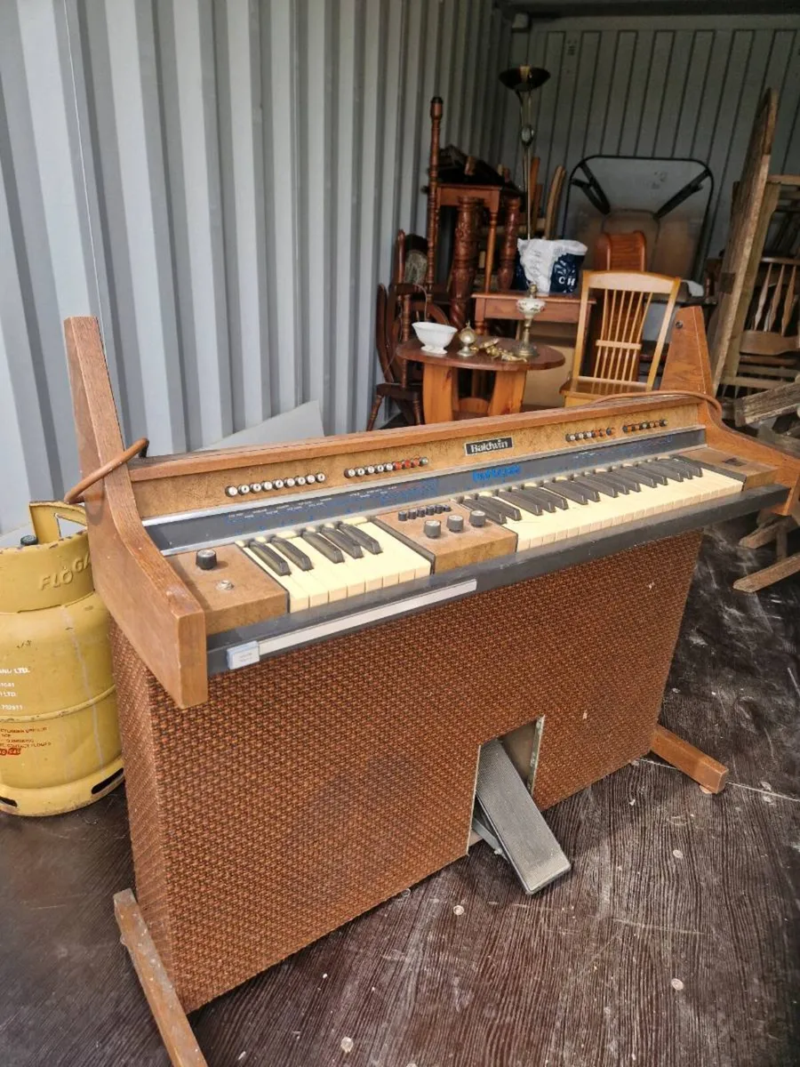 Organ