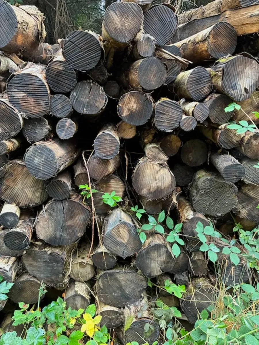 Ash Firelogs - Image 4