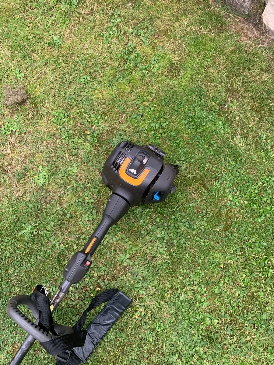 Strimmer - Image 2