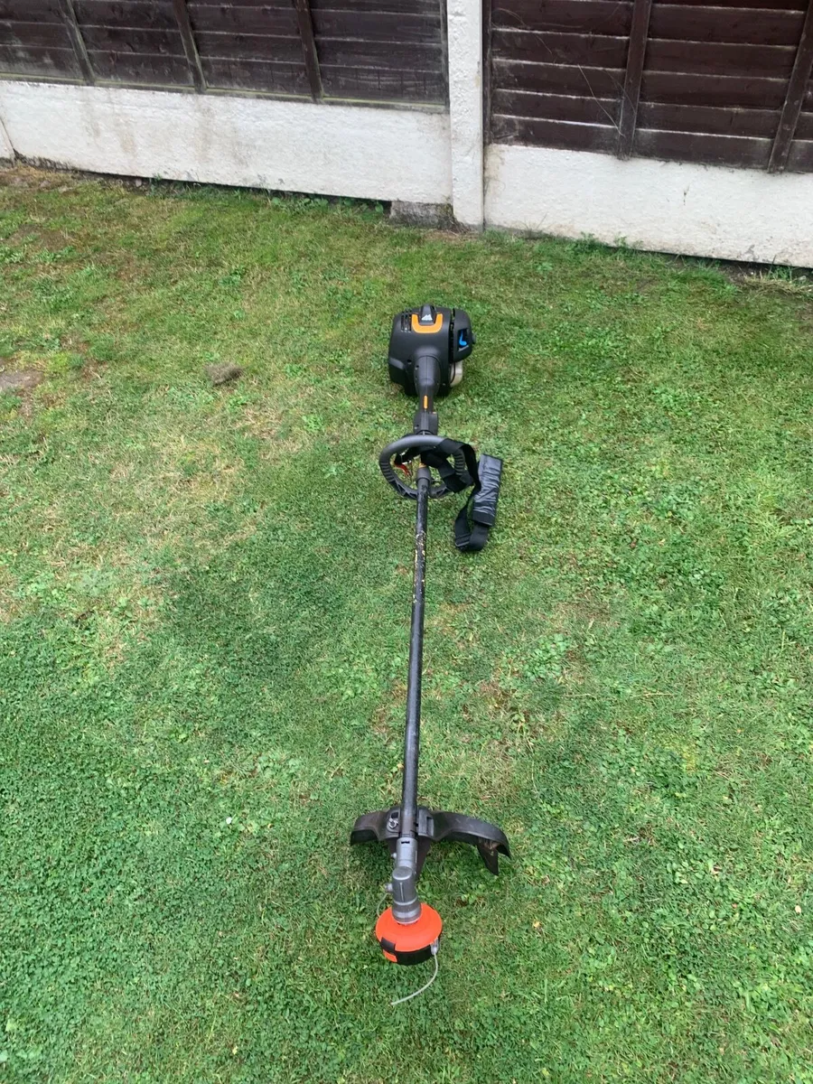 Strimmer - Image 1