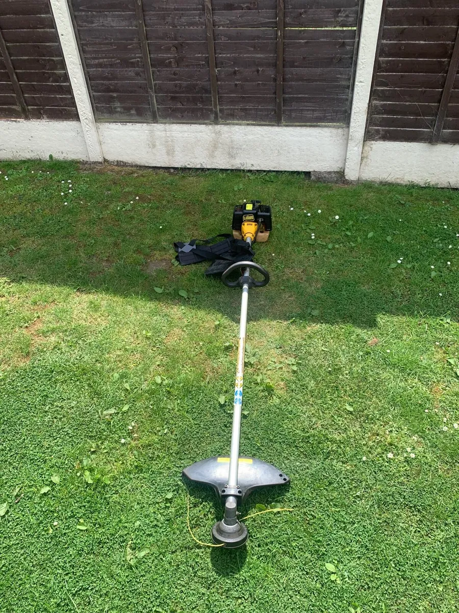 Strimmer - Image 3
