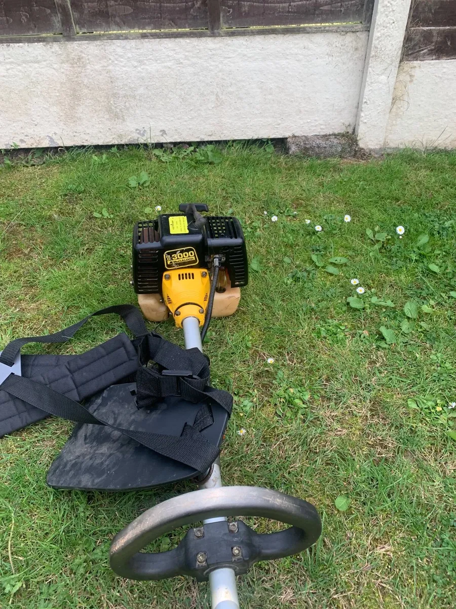 Strimmer - Image 1