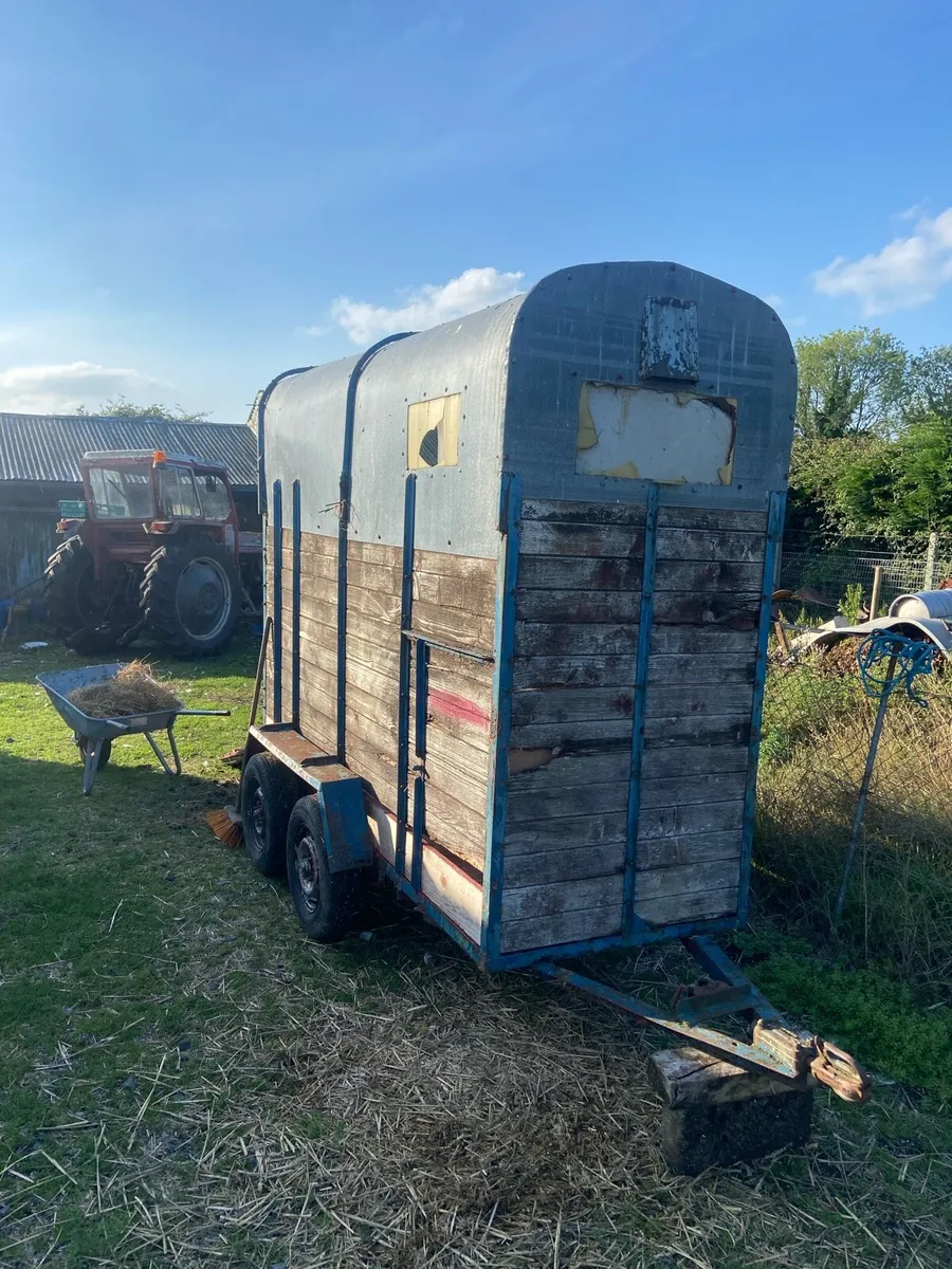 Horse box single - Image 2