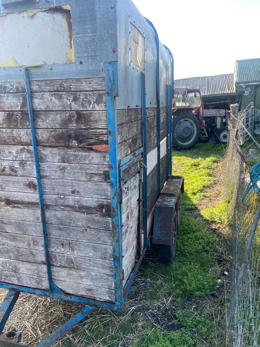 Horse box single - Image 3