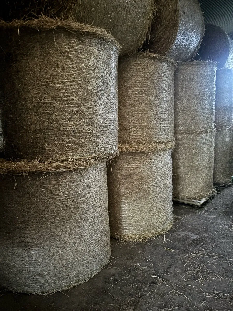 Barley Straw and oaten straw for sale