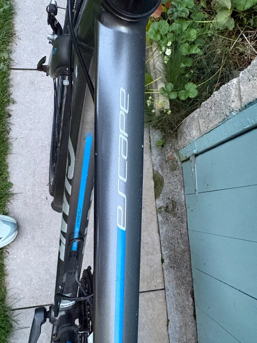 Giant Hybrid Bike - Image 2