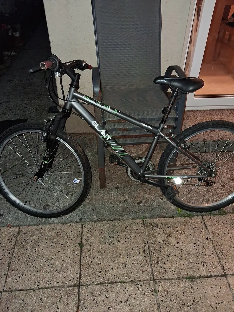 Teenage Mountain Bike - Image 1