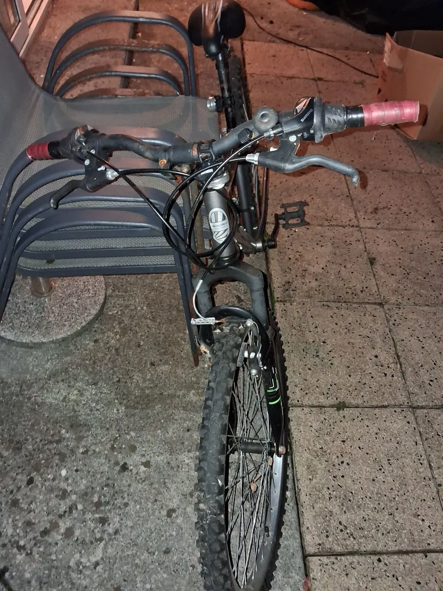 Teenage Mountain Bike - Image 2