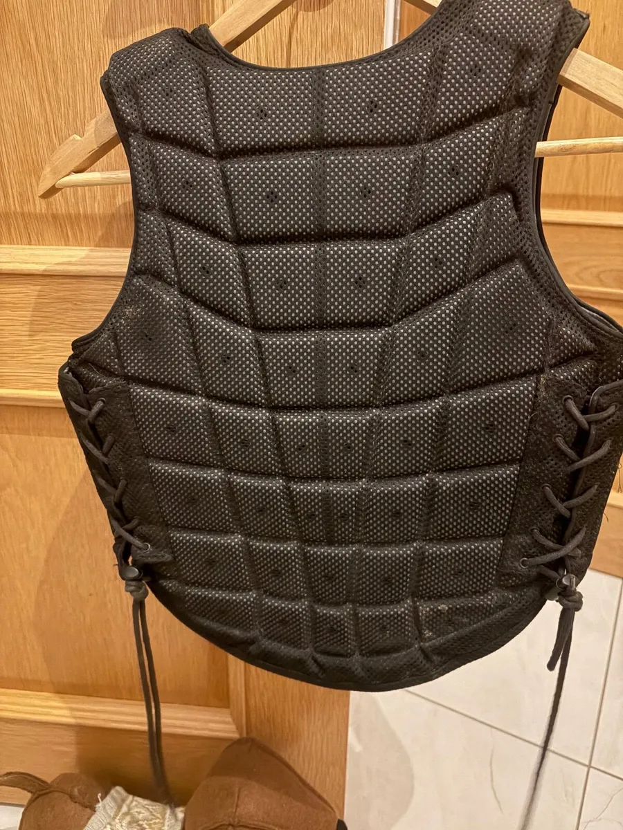 Champion Back protector - Image 2