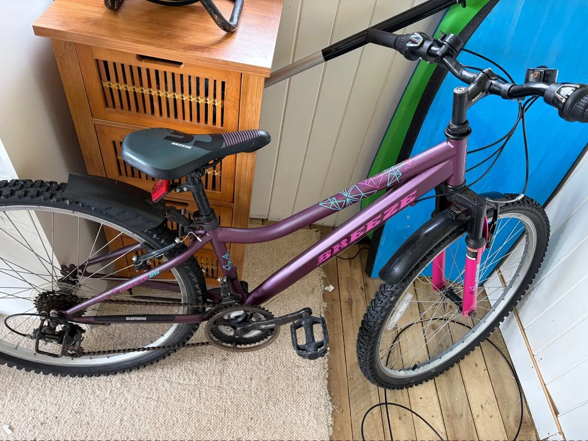 girls Bike - Image 1