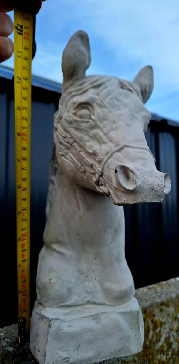 Horse head - Image 1