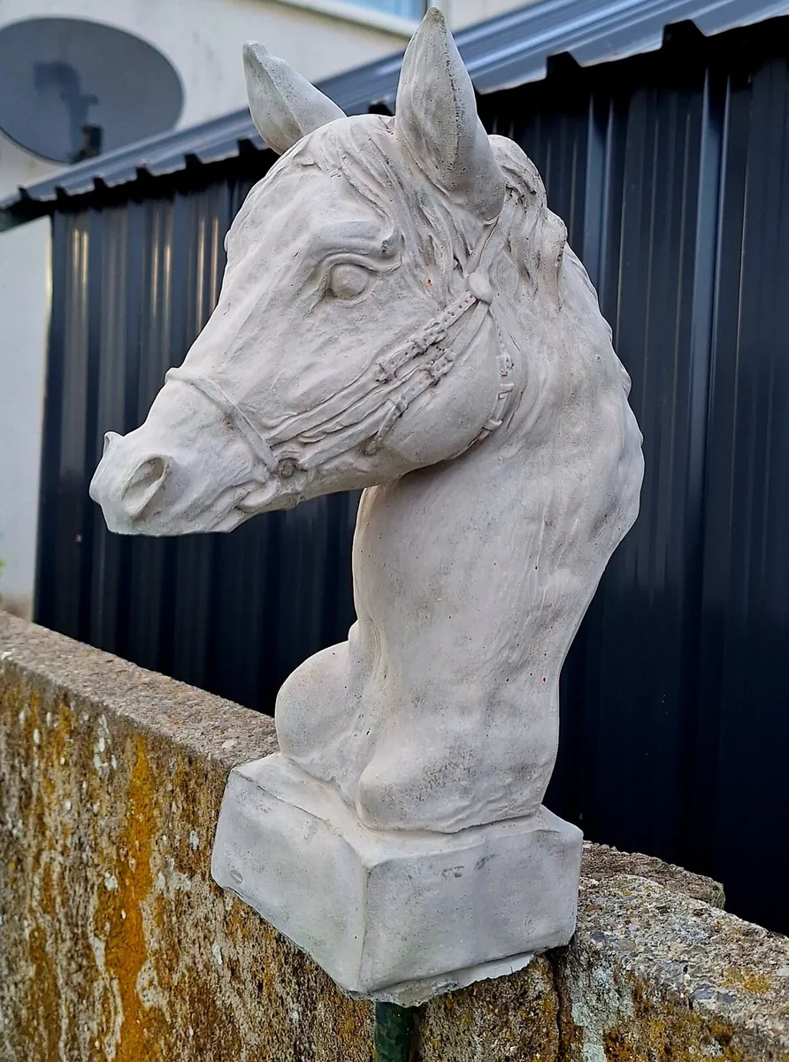 Horse head - Image 2