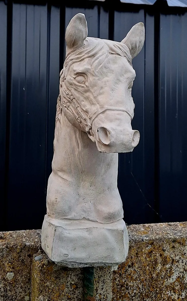 Horse head - Image 3