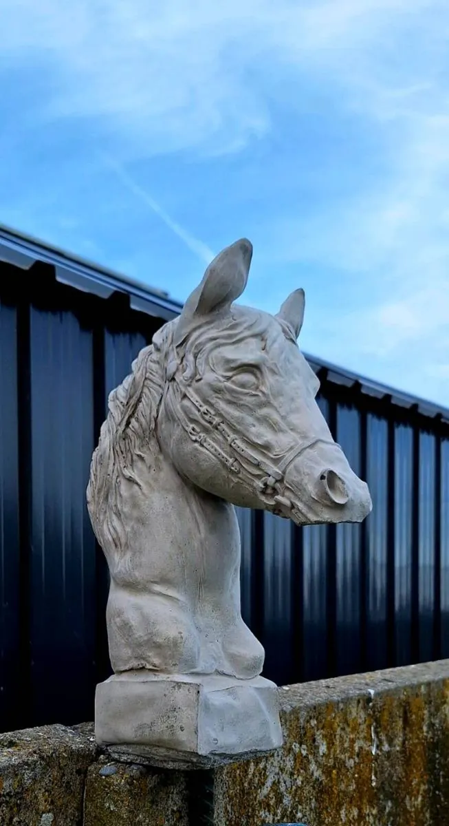 Horse head - Image 4
