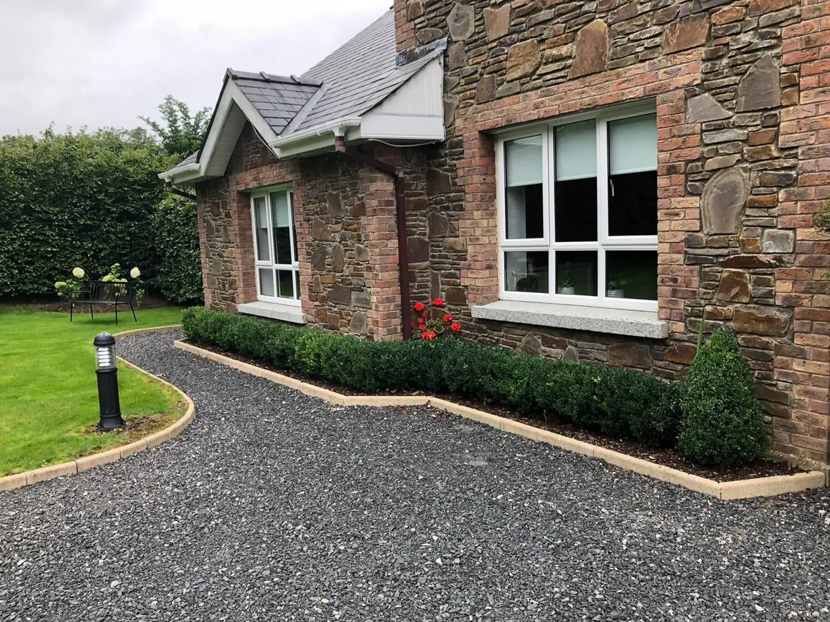 Box Hedging - Image 4
