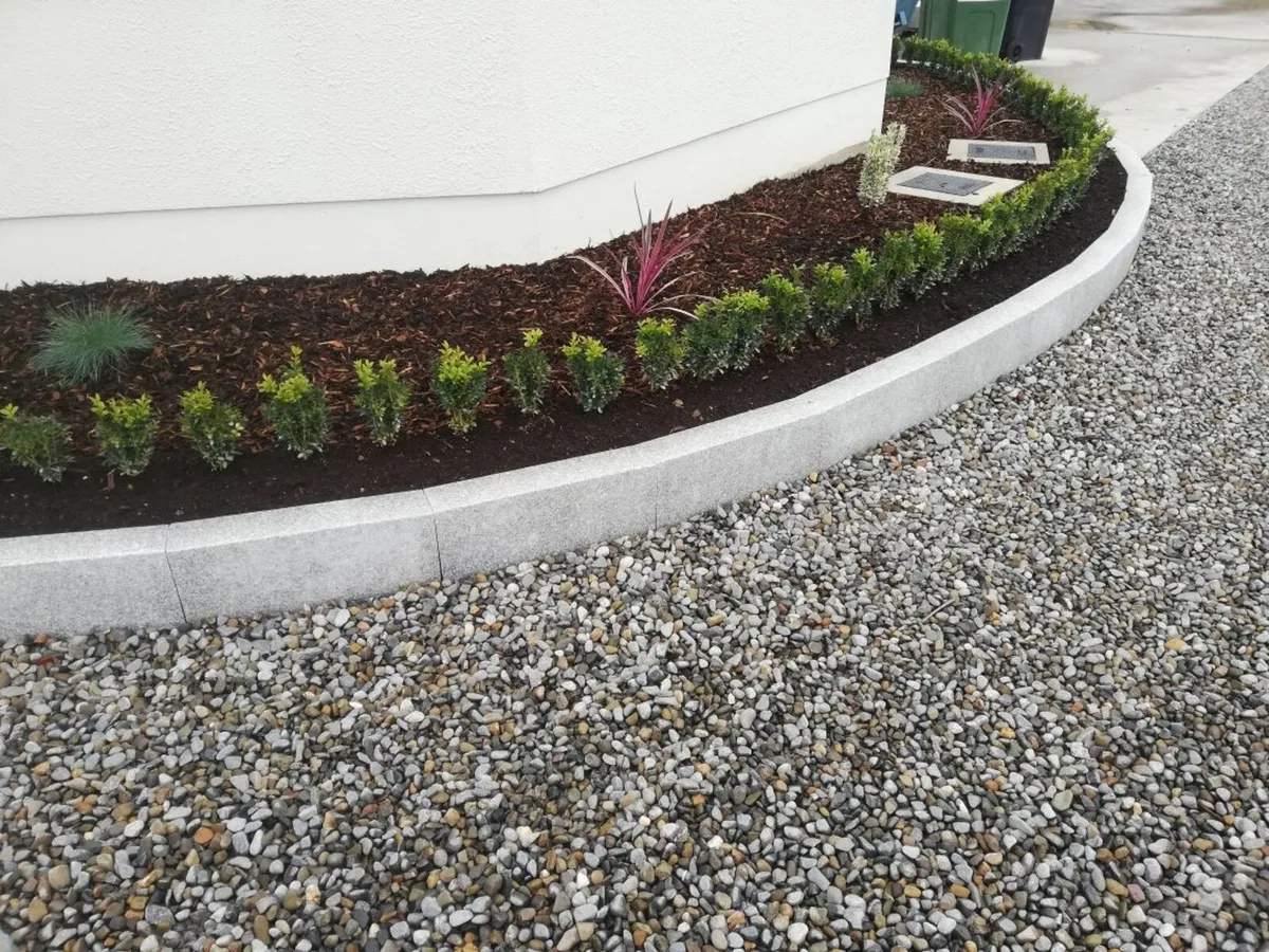 Box Hedging - Image 2