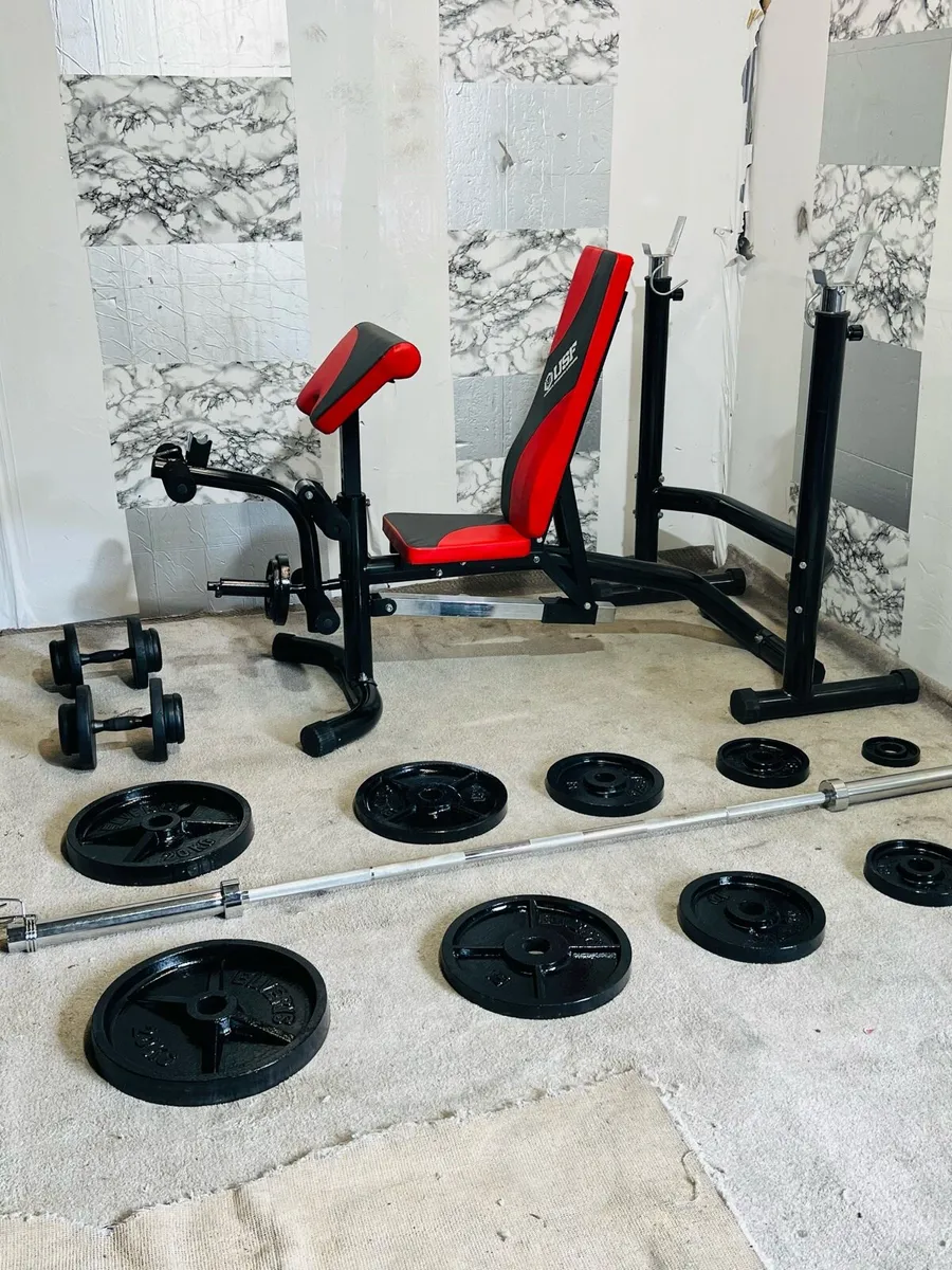USF OLYMPIC BENCH WEIGHTS DUMBBELLS BARBELL - Image 1