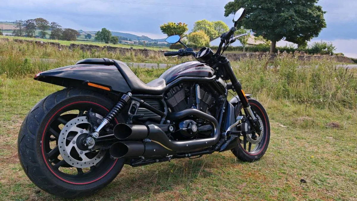 H-D V-ROD NIGHT ROD SPECIAL - Image 1