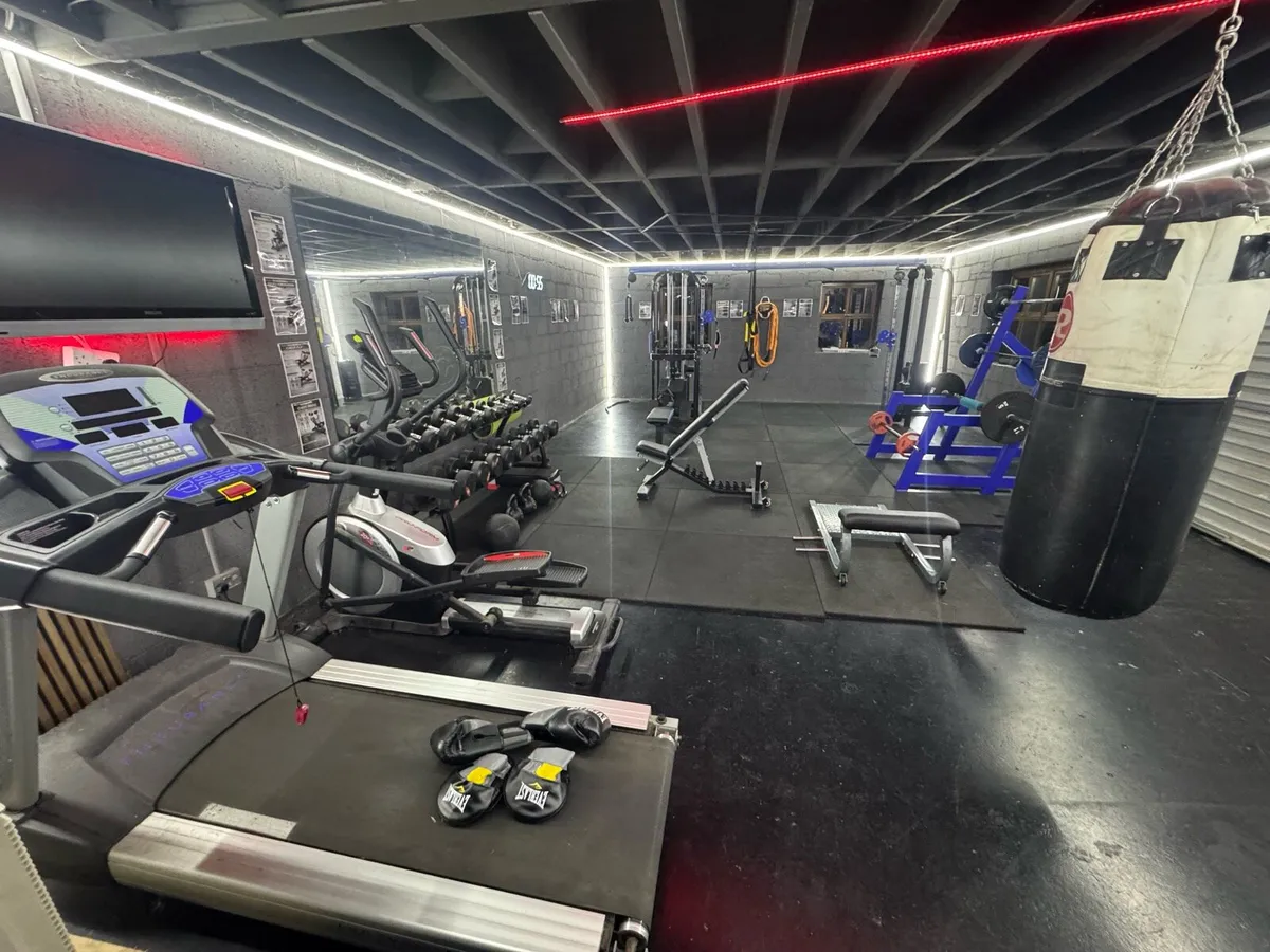 Full Home GYM setup (commercial grade) - Image 1