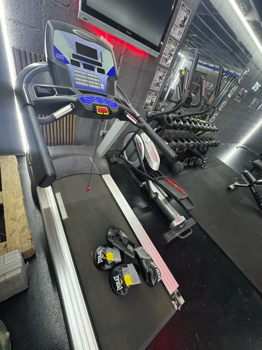 Full Home GYM setup (commercial grade) - Image 2