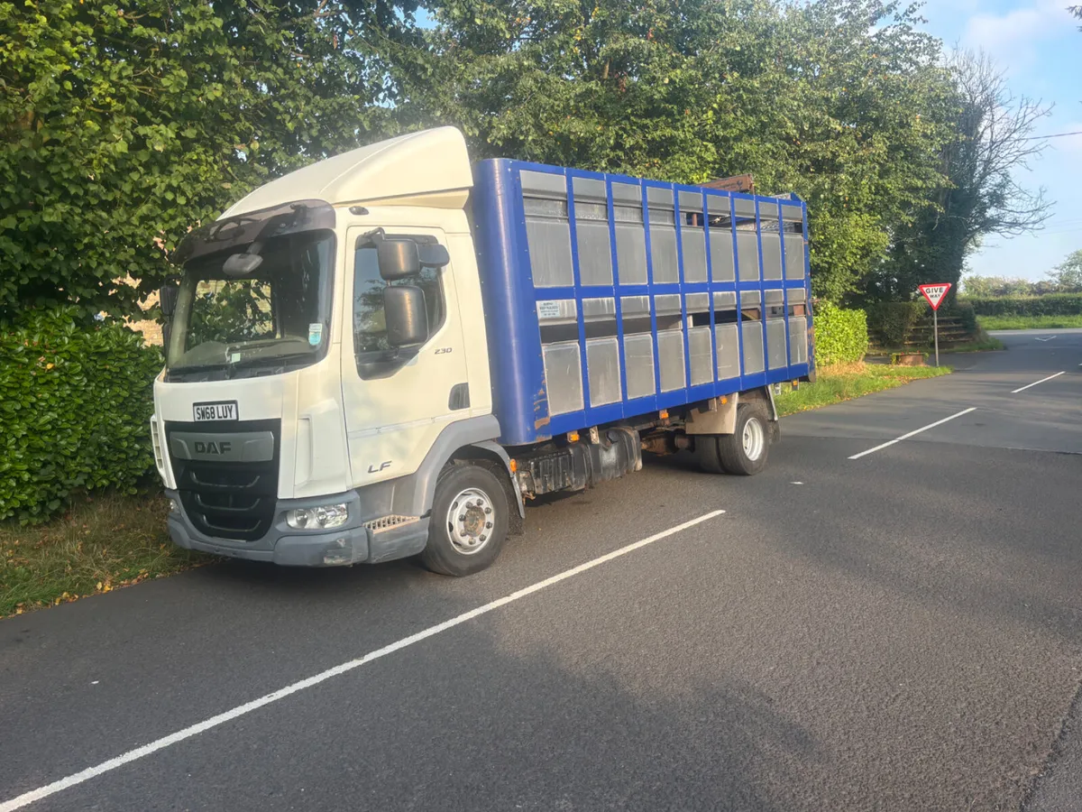 Daf lf 12 ton fitted with Murphy’cattle body - Image 1
