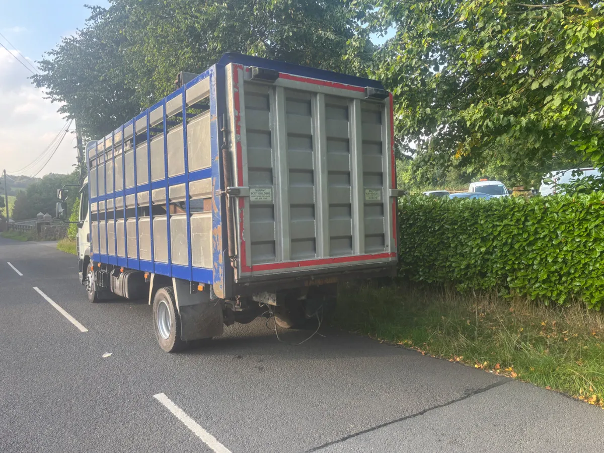 Daf lf 12 ton fitted with Murphy’cattle body - Image 2