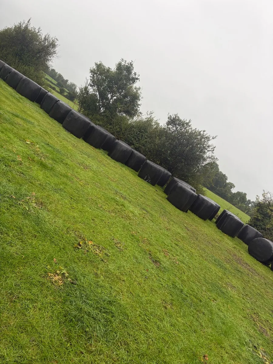 Bales of silage - Image 2