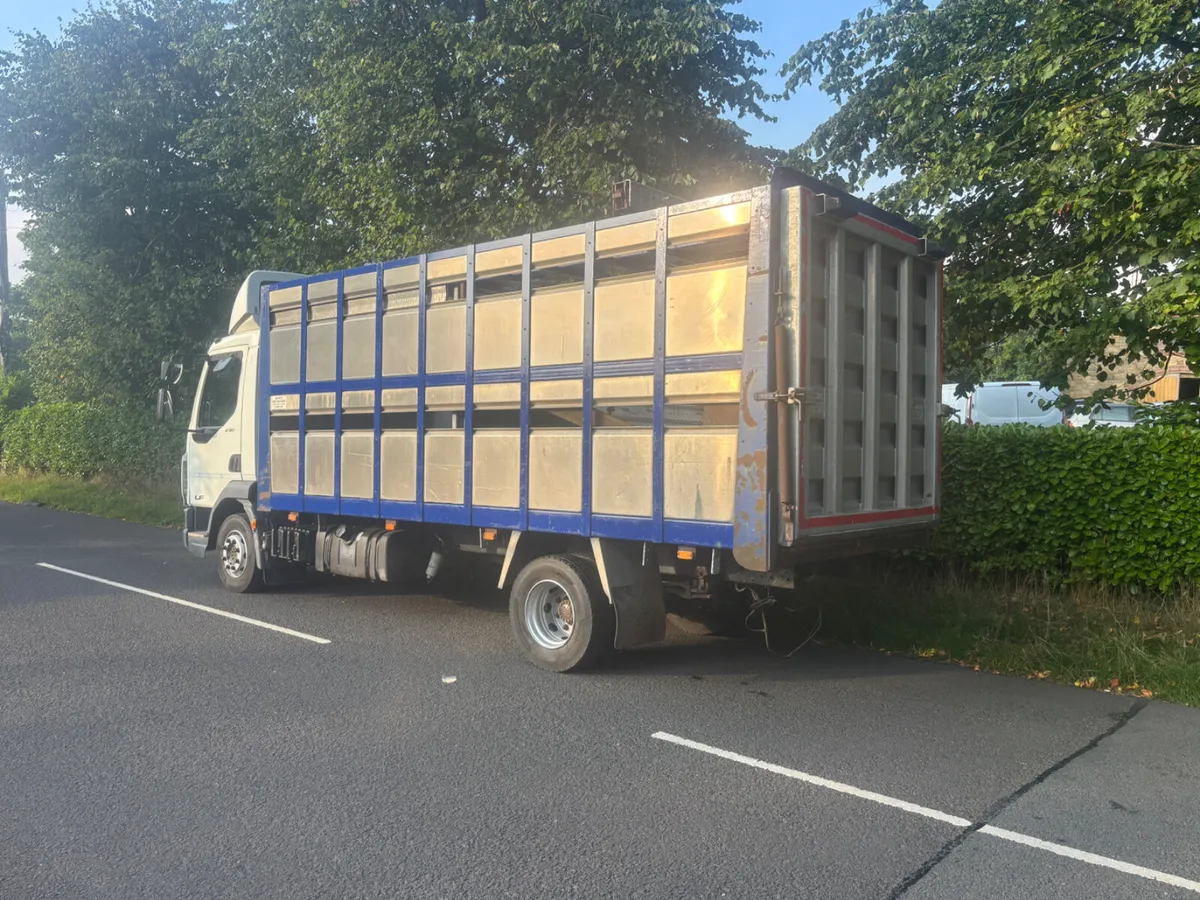 Daf lf 12 ton fitted with Murphy’cattle body - Image 4