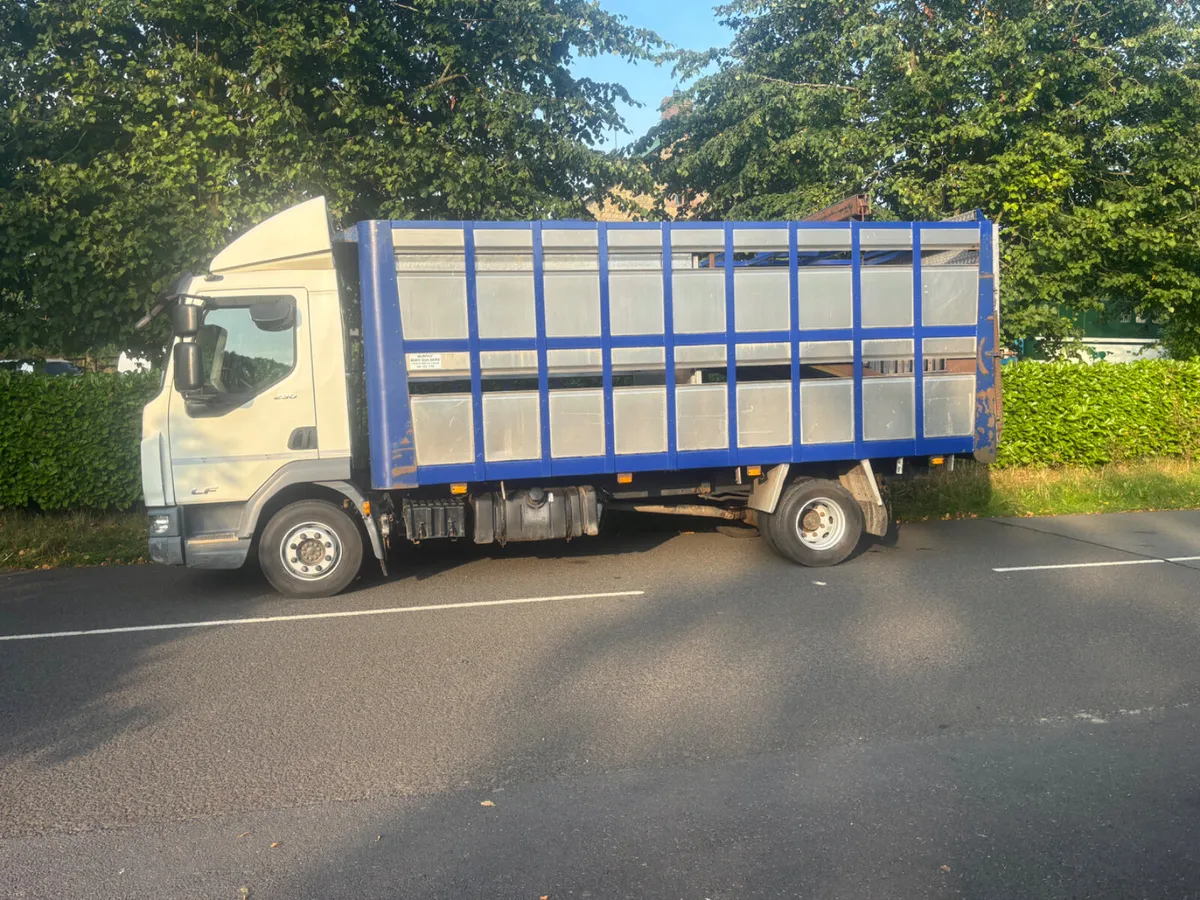 Daf lf 12 ton fitted with Murphy’cattle body - Image 3