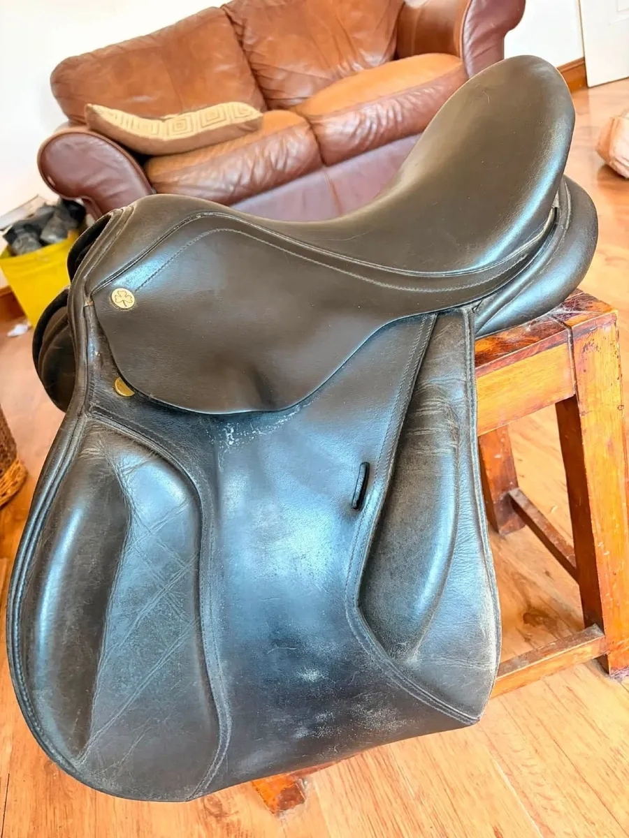 Young Rider Saddle for sale - Image 2