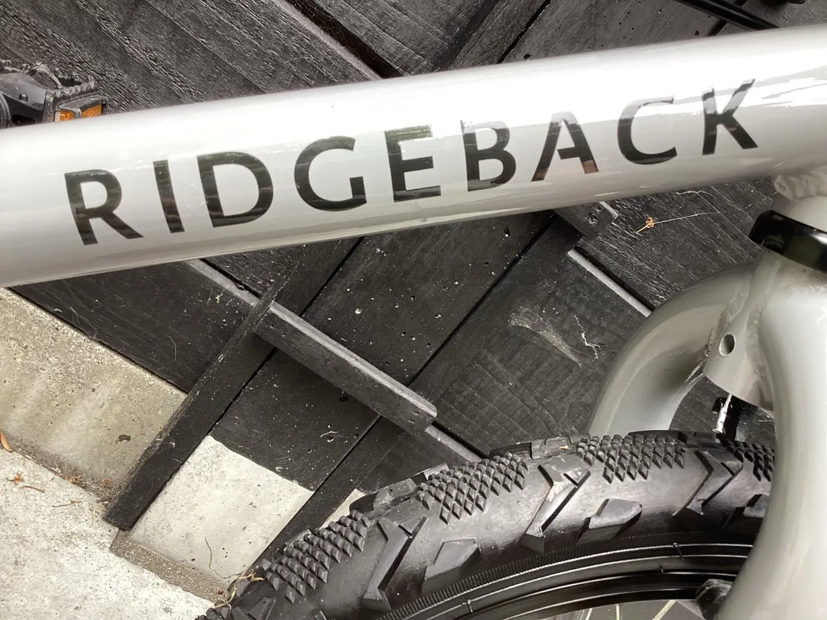 SHOWROOM CONDITION RIDGEBACK - Image 2