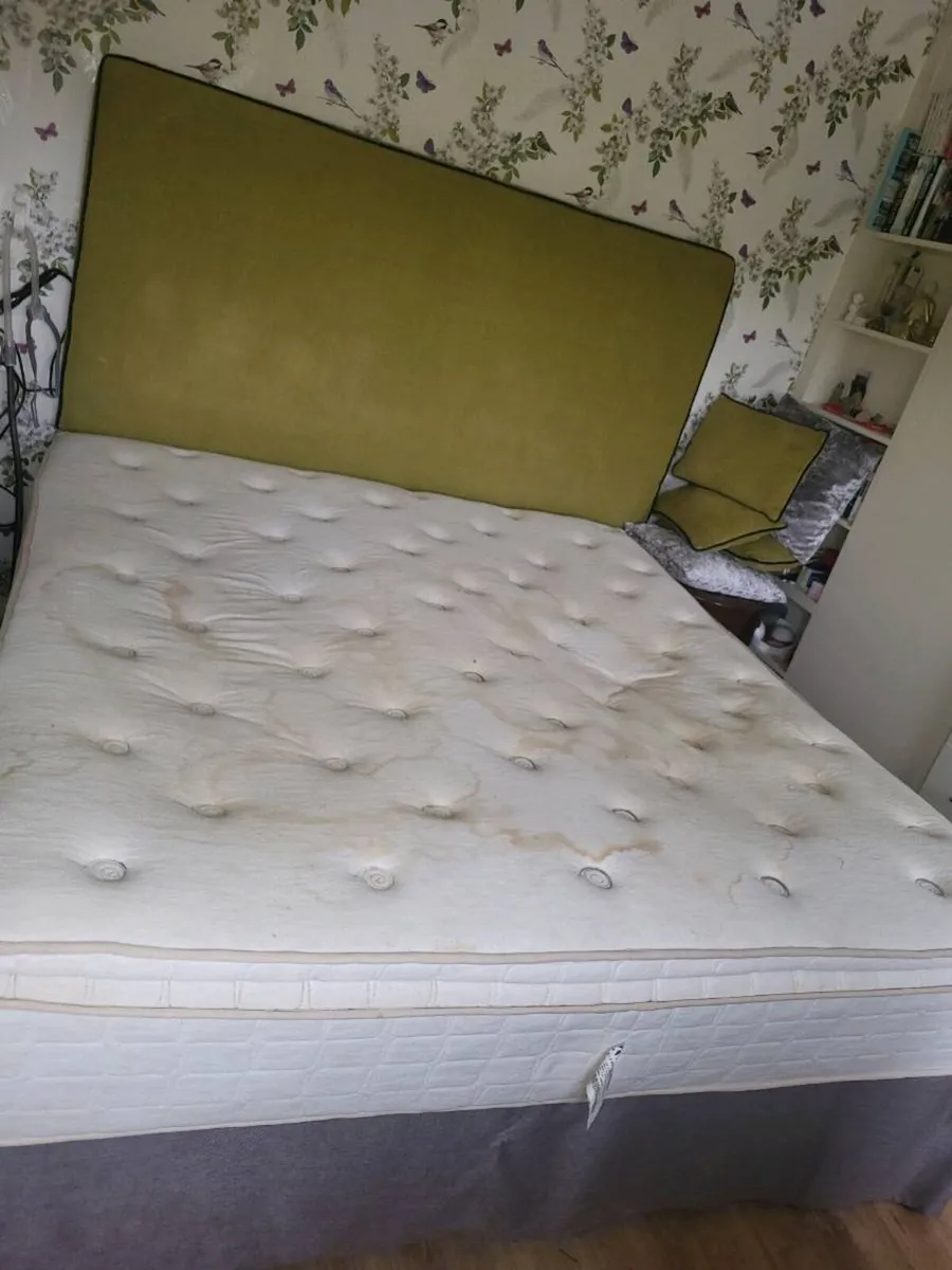 Superking Bed and King Koil Pillow top Mattreas - Image 4