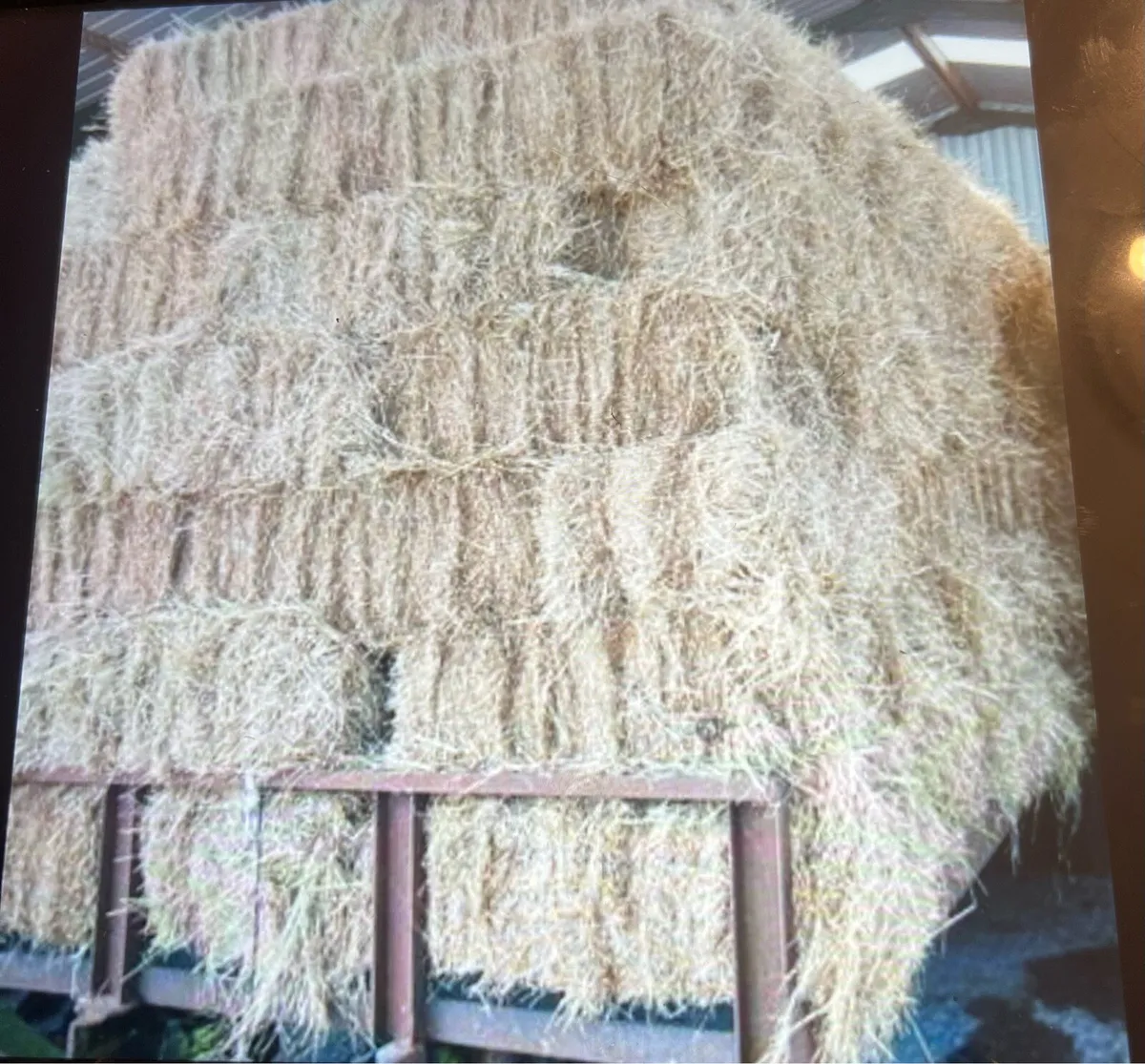 Square bales of hay - Image 4