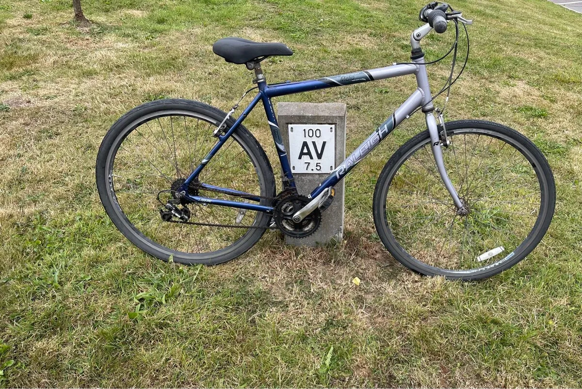 Adult Bike