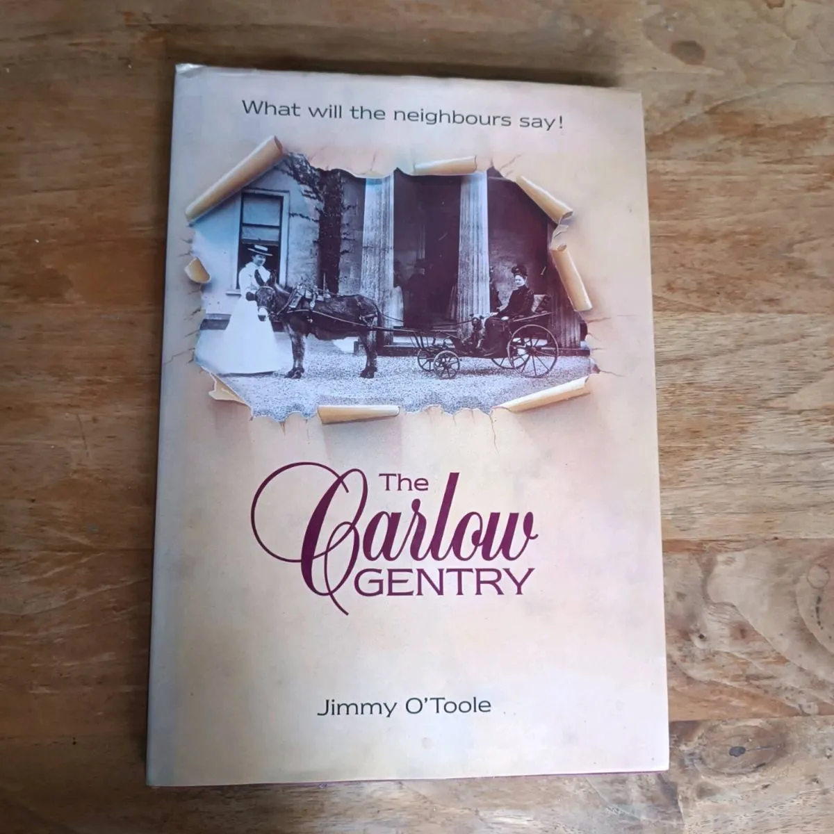 The Carlow Gentry