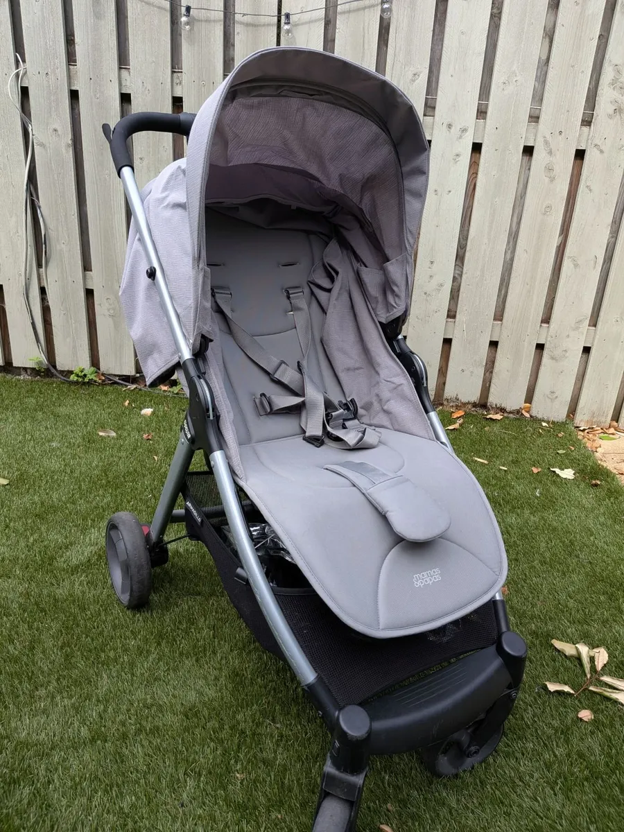 Buggy - Image 1