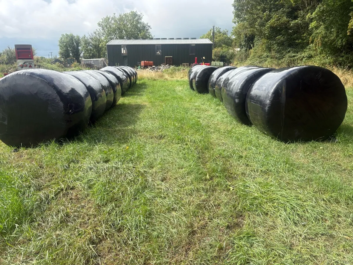 Silage Bales - Image 1