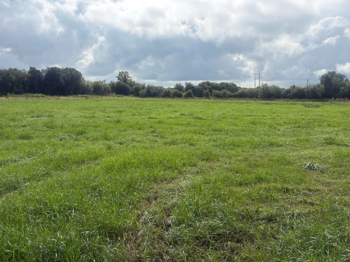 Silage Bales - Image 2