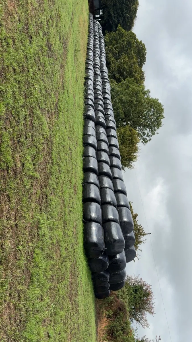 Silage bales