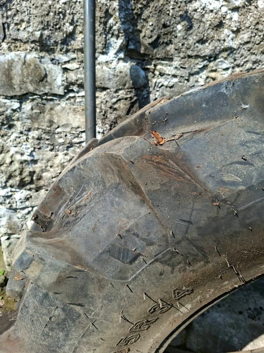Tyre - Image 4
