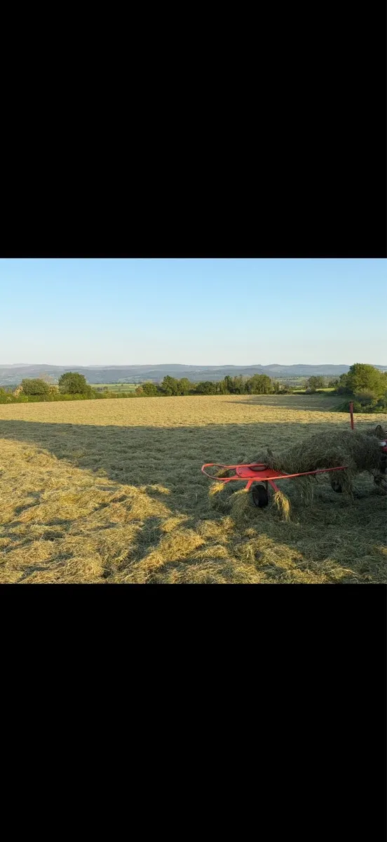 Haylage - Image 2
