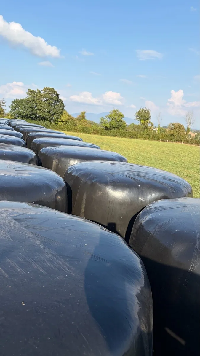 Haylage - Image 1